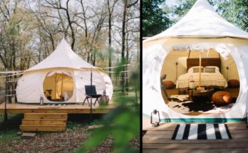 Camping Spot Has Yurts and Miniature Animals!