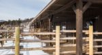 This Metal Home Ranch House is Amazing, but the Real Star is the Interior