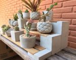 How to Make DIY Concrete Shelves Potted Tree