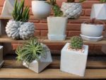 How to Make DIY Concrete Shelves Potted Tree