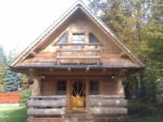 Whimsical Log Home Models