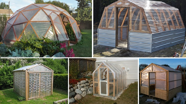 10 Easy DIY Free Greenhouse Plans You Can Easily Implement