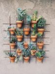 12 Creative DIY Gardens That Will Astonish You