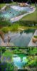 natural pool conversion