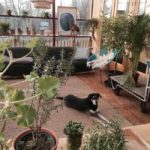 Try Living in Experimental Urban Greenhouse Home