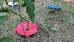 Gardening with Biodegradable Disks