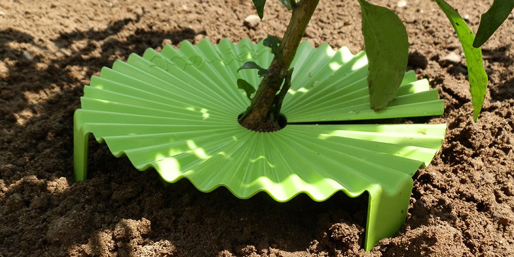 Gardening with Biodegradable Disks
