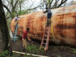 Rusty Storage Tank Turned Micro Home