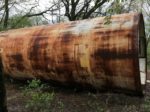 Rusty Storage Tank Turned Micro Home