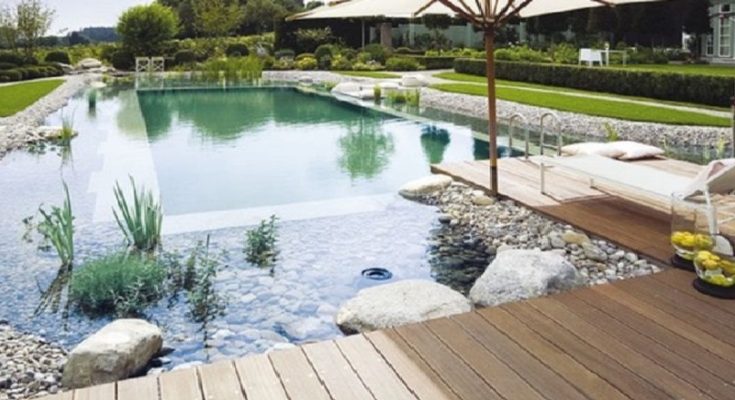 How to Build an Environmentally Friendly Swimming Pool